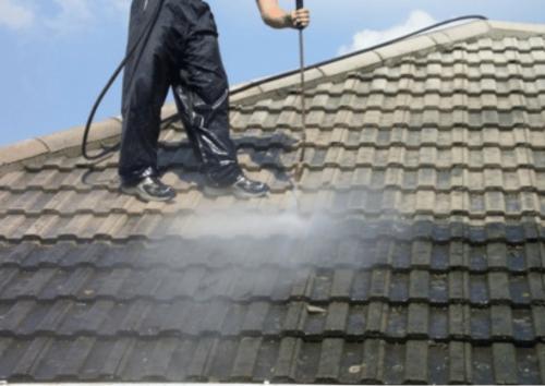 Démoussage à Vertou